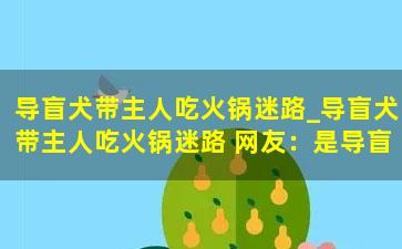 导盲犬带主人吃火锅迷路_导盲犬带主人吃火锅迷路 网友：是导盲犬不是导航犬